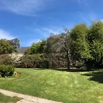 La Cabaña del 5